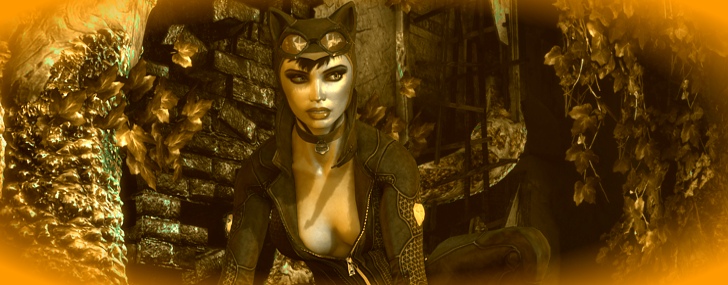 Batman: Arkham City for 3dfxzone.it. Follow it and get free access to download our latest SFFT Drivers for your 3dfx Voodoo cards!