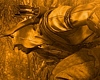 Watch out Connor in Assassin's Creed III E3 Gameplay Demo Watch out Connor in Assassin's Creed III E3 Gameplay Demo