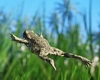 There're impressive CryEngine 3 capabilities beyond Crysis 3 There're impressive CryEngine 3 capabilities beyond Crysis 3
